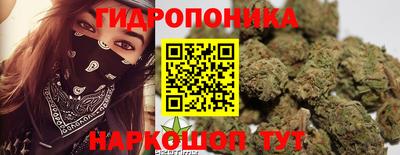 PSILOCYBIN Краснодар